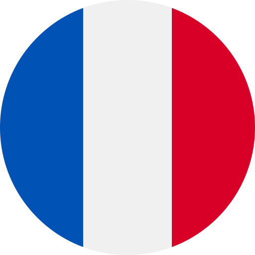Francais Ce cours est disponible en français